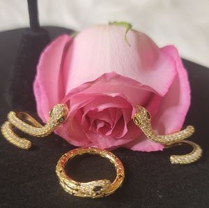 Rhinestone Snake Jewelry Set- Gold, Green and Black